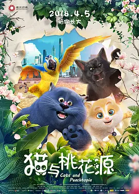 青青操操