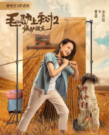 丁香婷