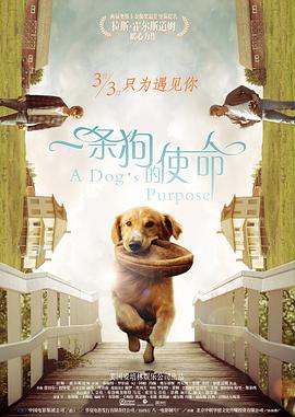 了一场穿越古今的“视听盛宴”。