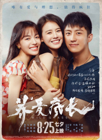 亚洲无毛