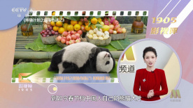 99久久综合狠狠综合久久